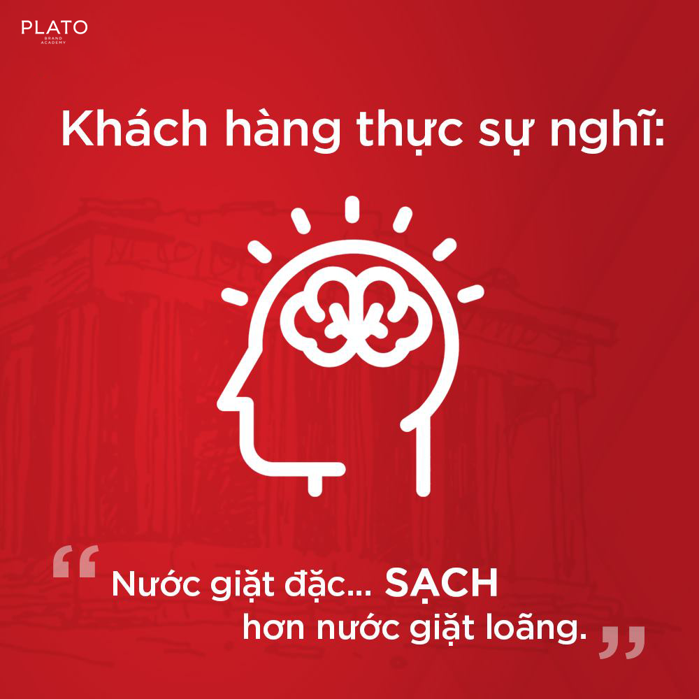 insight khách hàng 