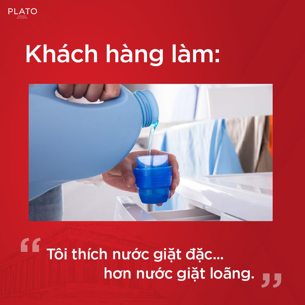 insight khách hàng 