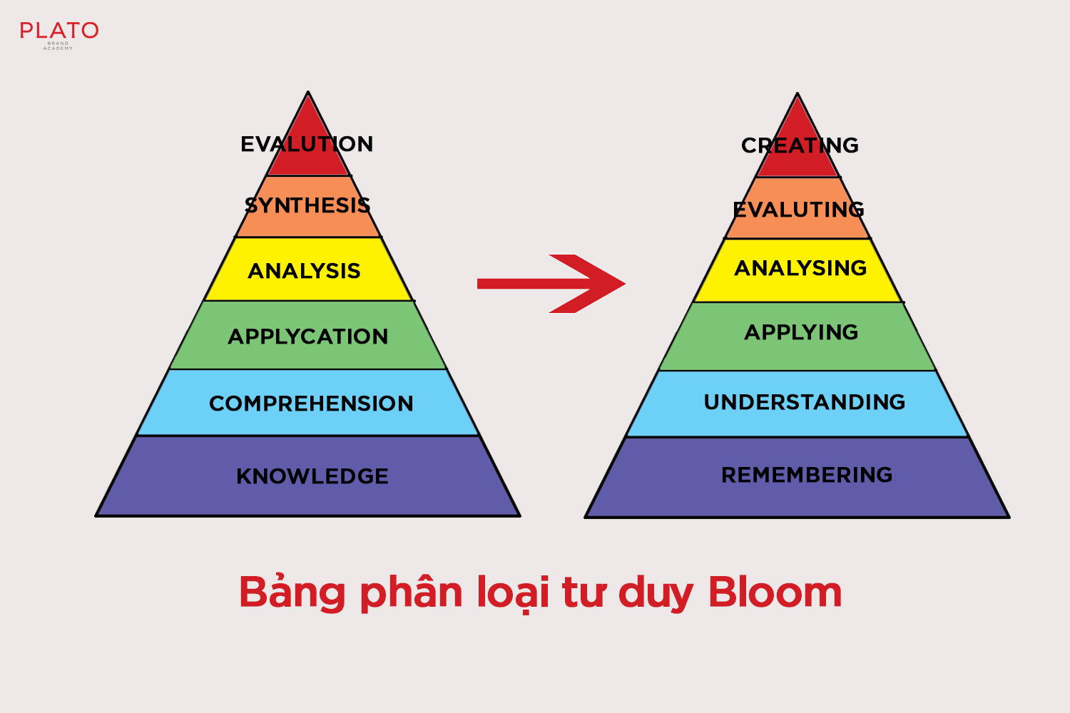 Biểu đồ tư duy Bloom