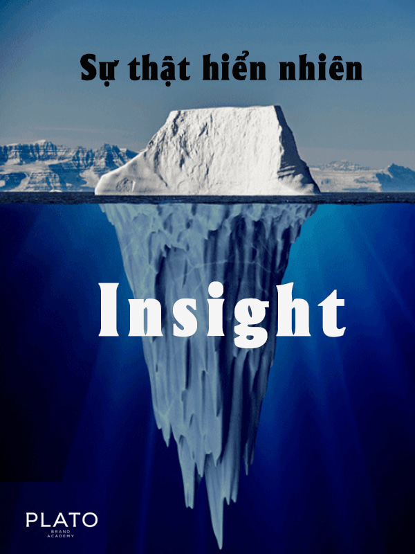 tự Nghiên Cứu Insight Khách Hàng