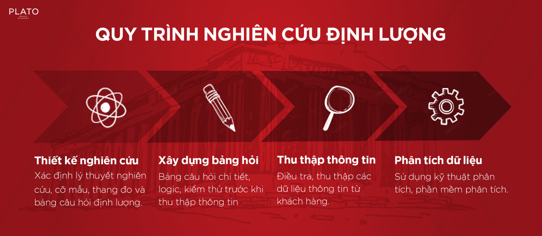 tìm insight khách hàng