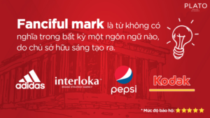Bài Bảo Hộ Tên Thương Hiệu 41